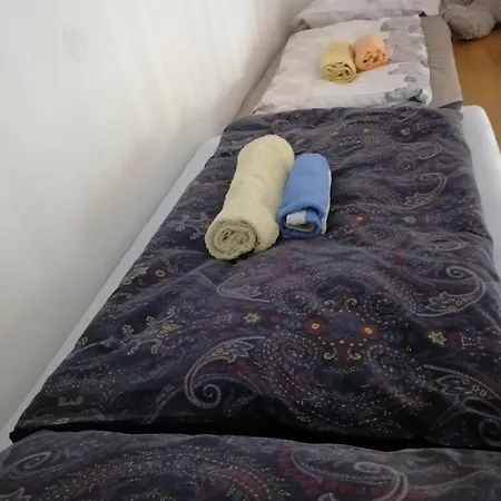 Sdileny Pokoj V Centru Mesta * Karlovy Vary